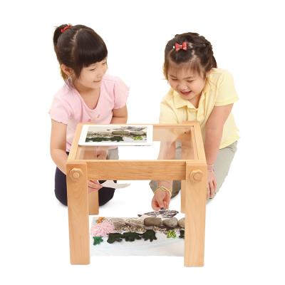 China Eco-friendly Kit And Top Best 8 Material Science Educational Experiment For Optical Illusion 6 Year Old Toy for sale