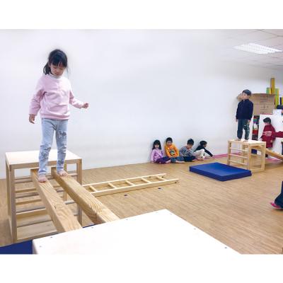 China Non-Toxic Eco-Friendly Kids Balance Physical Playsets Exercising With Climbing Ladder for sale