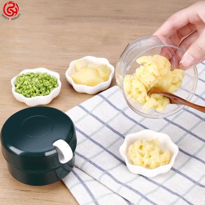 China Sustainable Mini Garlic Blender Kitchen Household Manual Garlic Presses for sale