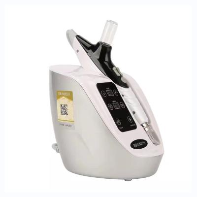 China Skin Tightening Hot Selling Skin Care EMS RF Needles Mesotherapy Injector Negative Pressure Nano Meso Gun for sale