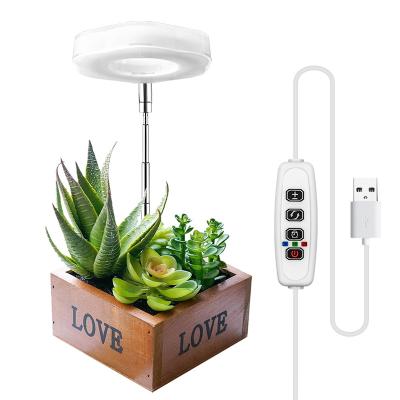 China Other Mini Hexagon Design Full Spectrum USB Plant Grow Light LED Plant Growth Lamp Grow Light For Indoor Plant for sale