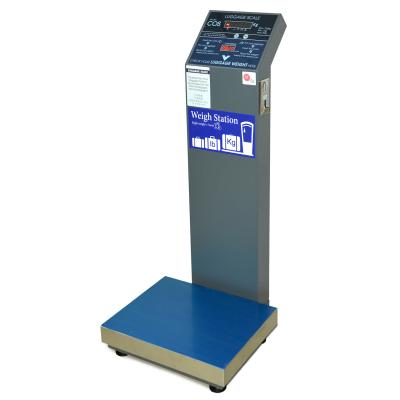 China Rugged Platform With Powder Coated BC200 Airport Scale Hugest Airport Weighing Luggage Scale for sale