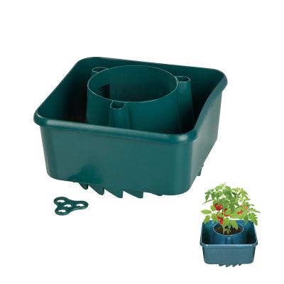 China Garden Plant Halos Plastic Self Growing Tomato Planter Lightweight Watering Pot With Cane Bamboo Support for sale