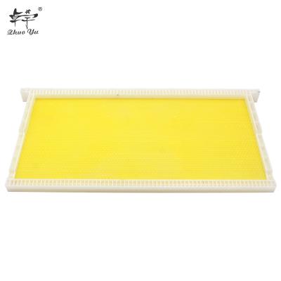 China 2019 Plastic Farms Beekeeping Frame Sheet Bee Base Langstroth Hive Bee Frame With Plastic Sheet for sale