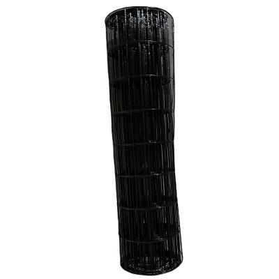 China Fence Mesh Hot Sell PVC BLACK Welded Wire Mesh Material Fabric 16GA 2X3 MESH For Animal Cages for sale