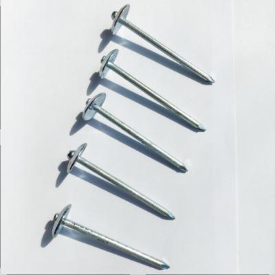 China Best Seller High Quality Flat Galvanized Iron Nail With Umbrella Head for sale