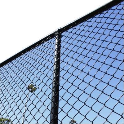 China Fence Mesh Electro Galvanized / Hot Dipped Chain Link Wire Mesh Fence for sale