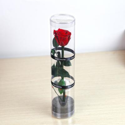 China forever red eternal rose flower gift preserved long stem rainbow rose eternal real rose with stem for sale