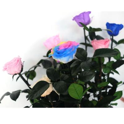 China Wholesale arranjos de flores rose flowers long stem roses box forever rose with stem for sale