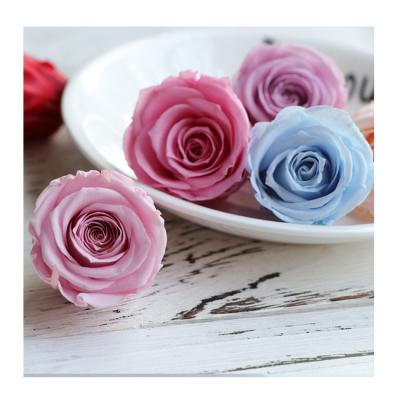 China Wholesale preserved roses 3-4 cm antique red Beautiful long life rose preserved roses wholesale preserved rose head 3-4 cm for sale