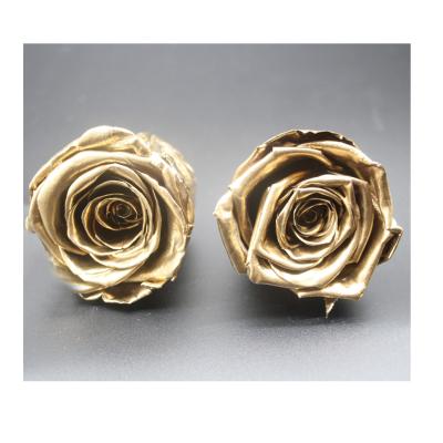 China 2020 new rose gold preserved rose custom preserved rose metallic preserved roses for sale