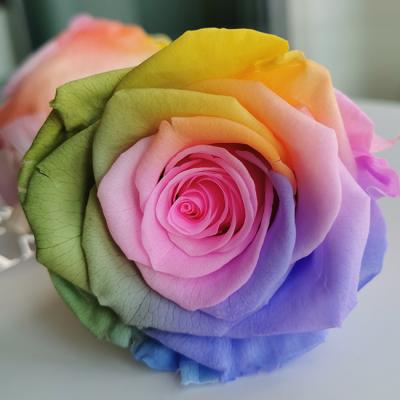 China Wholesale rainbow preserved roses bulk preserved roses head in box for home wedding decor for sale