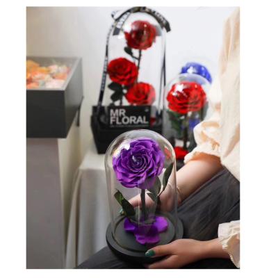 China beauty beast enchanted rose preserved flower best welcome fashion preserved rose in glass dome for sale