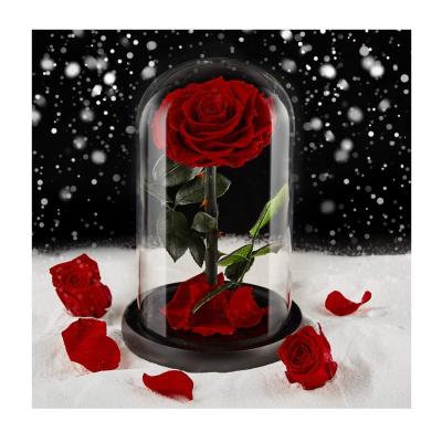 China Wholesale preserved rose in glass dome rose glass bottle infinity rose for gifts for sale