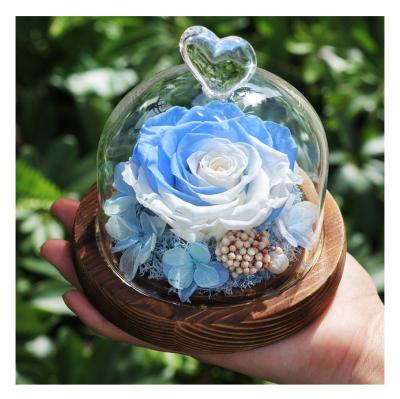 China life eternal rose rose amor preserved roses flower preserved rose in heart shape glass dome for sale