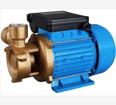 China DACHENG Peripheral Pump DB/LQ KF Series Hot Selling Family Homes In Iraq Bras Pump Body Or Cast Iron Pump Body for sale