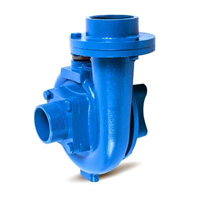 China Family houses DACHENG DCT-20 2.2kW 3hp 2 inch electric centrifugal water pump agriculture pumps for sale