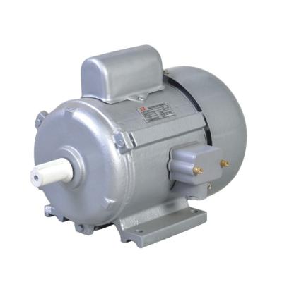 China IP44/IP54 DACHENG Motor JY Series Single Phase Value Capacitor Induction Motor for sale