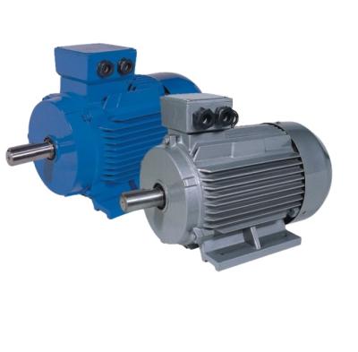 China IP44 / IP54 DACHENG Motor Y2 Series Three Phase Asynchronous Motor for sale