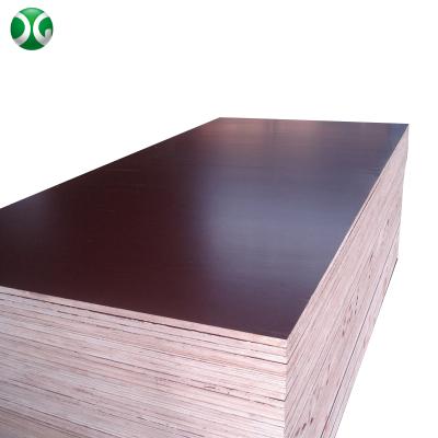 China Modern Linyi Film Faced Plywood Film Faced Construction Plywood Panel for sale