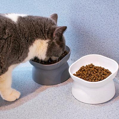 China Sustainable Double-sided Available Modern Cat Bowl Protection Cervical Bevel Eco Friendly PP Cat Food Bowl Cat Water Bowls for sale