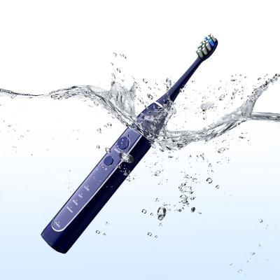 China Sonic Women Electric Toothbrush Men USB Rechargeable Smart Inductive Filling 2 Minutes Multi-Function Timer 8 Dupont Brush Heads Portable for sale