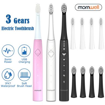 China Eco-friendly Dupont Tartar Stain Teeth Plaque Black Teeth Calculus Remover Electric Dental Tooth Remover T27 For Travel Home Toothbrushes for sale