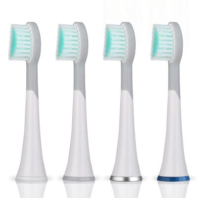 China Household Mornwell D901 Replaceable Electronic Toothbrush Head For D01/D02/D01B+/D02B Sonic Electrical Toothbrush for sale