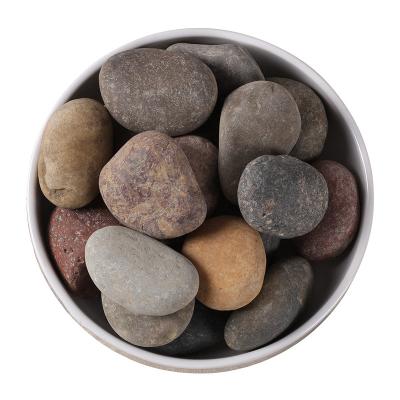 China Modern Natural Cobblestone 1-2cm Wash Clean Multicolor On Sale for sale