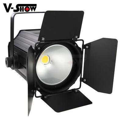 China USA 200W COB LED Studio Par Light COB Stage Par Light LANDSCAPE (WW) Shipping for sale