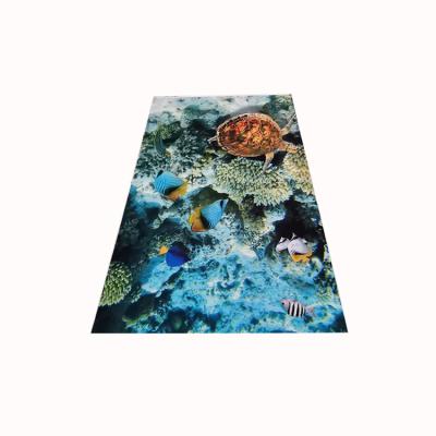 China Beautiful Reversible Cut Flower Pile and Loop Pile Carpet Home Decor Rug for sale