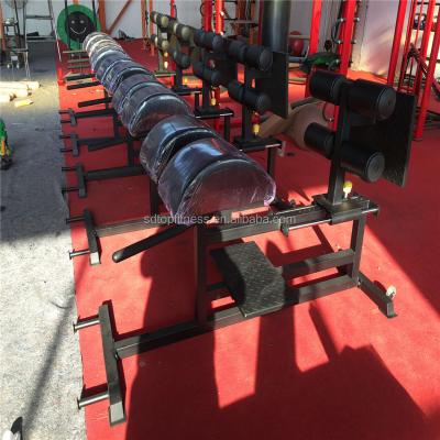 China New Popular Fitness Center Glute Ham Developer Ghd Profissional Crossfit Fitness Supply for sale