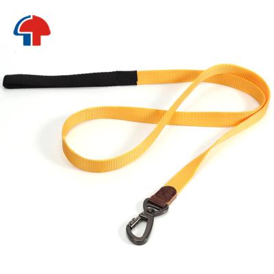 China Custom widths and strong multiple colors and durable nylon dog leash with collar hook for sale