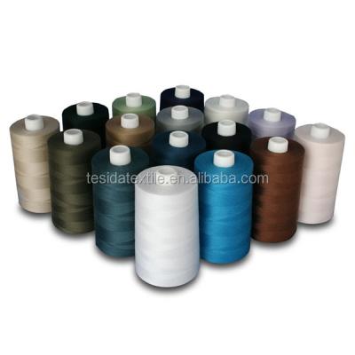 China High Tenacity 210D/2 100% Polyester Multifilament Sewing Thread for sale