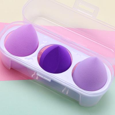 China Soaking Becomes Bigger 3 Egg Carton Beauty Different Shape Makeup Sponge Set With Storage Box for sale