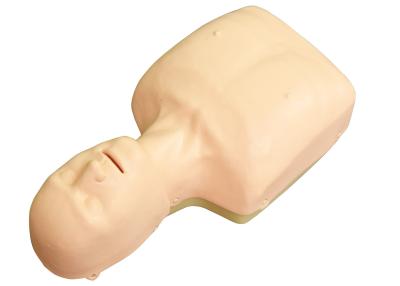 China Cardiopulmonary Resuscitation Simulator for sale