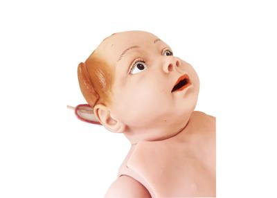 China CE Medical Schools Training 3.2kg Infant Manikins for sale