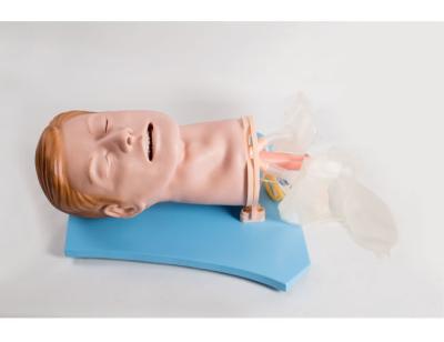 China De Eerste hulpmannequins van adem Correcte Functie Geschilderde pvc Te koop