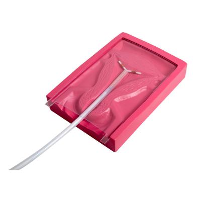 중국 의료 교육을 위한 시뮬레이터를 훈련시키는 진보적 IUD 삽입 판매용