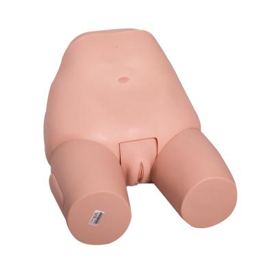 China Female Fundus Uterus Examination Gynecologic Simulator for sale