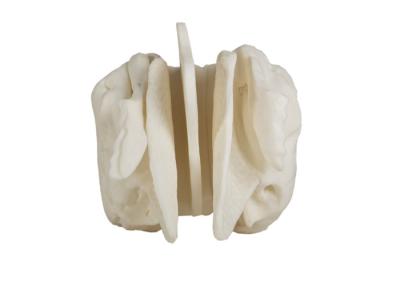 China Anatomical Amplified Ethmoid Bone Model For Medical Training for sale