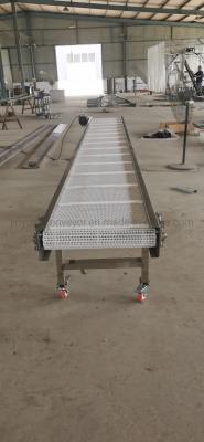 China                  Manufacturer Plastic Mesh Belt Conveyor for Washing Food              for sale