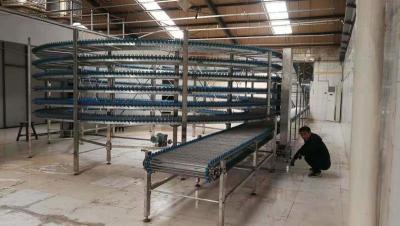 China                  Fish Meat Pie Double Drum Spiral Belt Freezer for Sale              for sale