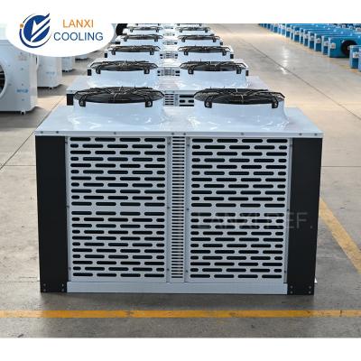 China 6PH ~ 30PH Air Cooled U Box-type Condenser Unit with Emerson Scroll Compressor Unit for Refrigeration System for sale