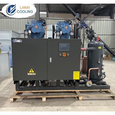 China Fusheng Double Parallel Screw Compressors Condensing units Refrigeration System for Low Temperature Room for sale