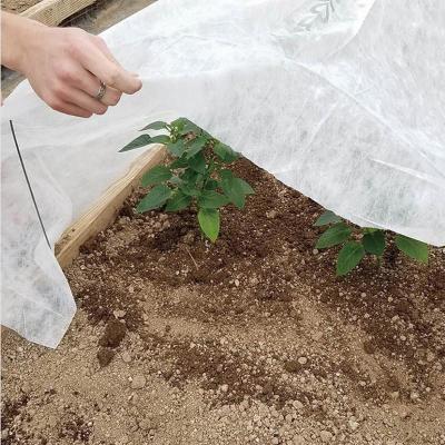 Cina Copertura generale non tessuta di protezione antigelo della copertura di agricoltura di Agrosheeting pp Spunond con 3% UV in vendita