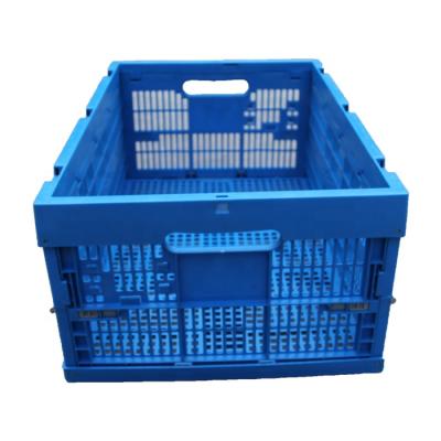 China Sustainable Plastic Foldable Vented Supermarket Fruit Basket Folding Picnic Wholesale Shopping Basket for sale