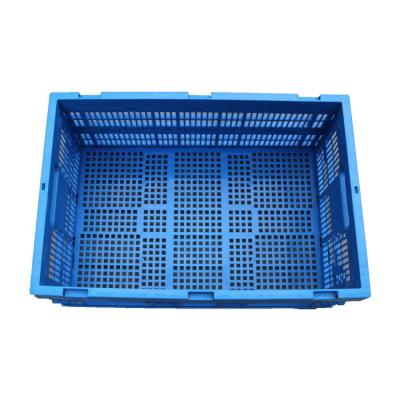 China Plastic Folding Fordable Durable Vegetable Crate Breathable And Ventilated Crate for sale