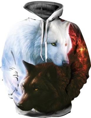 China Custom Sublimated Fashion Anti Shrink Hip Hop Hoodie Hoody for sale