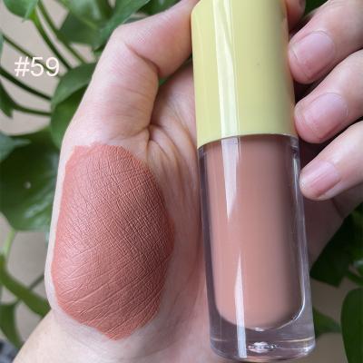 China Waterproof No Logo Private Label Long Lasting Waterproof 8 Colors Square Tube Matte Lipstick for sale